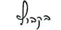 האות ץ'